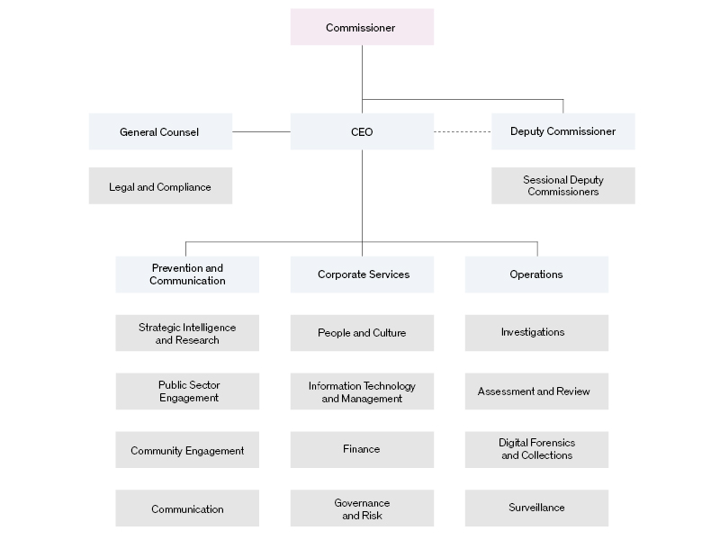 Organisational chart as at 1 July 2016