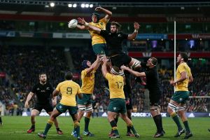 Up they go: New Zealand's Sam Whitelock competes at the lineout against Wallabies forward Adam Coleman at Westpac ...