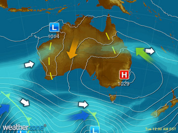 synoptic