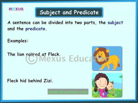 Learn English Grammar: Subject and Predicate