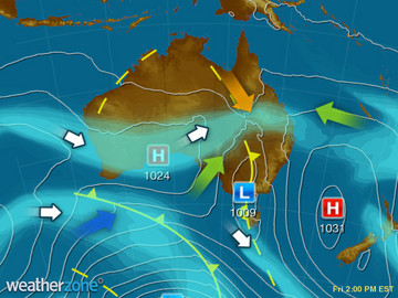 synoptic