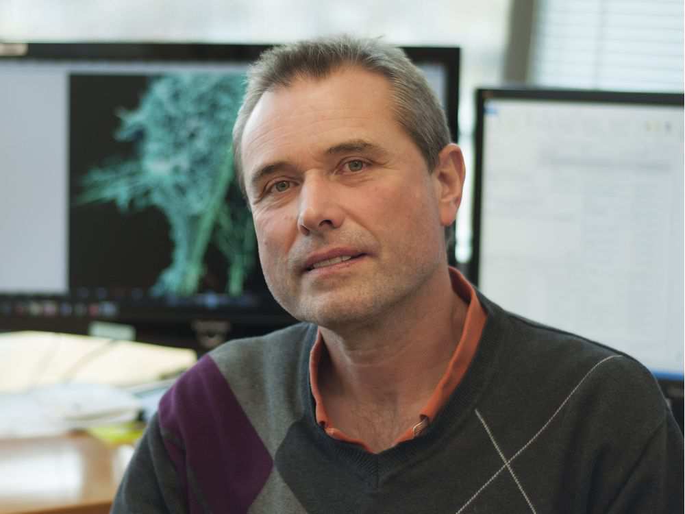 Heinz Feldmann, former head the special pathogens program at the National Microbiology Laboratory in Winnipeg, had no plans to create an Ebola vaccine when he arrived in Winnipeg in 1999. He calls the vaccine he helped develop a great success, but warns that it is too soon to declare Ebola defeated. Photo courtesy U.S. National Institutes of Health