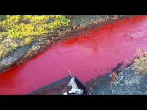 Crimson Tide: Residents stunned as Russian river turns red