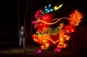 Event co-ordinator Will Jolley with one of the Lantern sculptures at the Dandenong Festival of Light. 