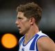 Considering future: North Melbourne's Nick Dal Santo might play on in 2017 with a third club. 