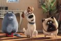 Film still from The Secret Life of Pets.?