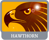 Hawthorn