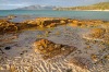 Cooks Beach, Tasmania: See way beyond Wineglass Bay by walking past the famed strand to this equally beautiful beach ...