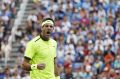 Juan Martin del Potro celebrates after beating David Ferrer.