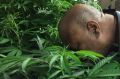 Billy Jean Clay, left, and Roxanne Hunt look at marijuana plants at the Oregon State Fair. Oregon voters legalised ...