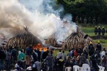 105 Tonnen Elfenbein brennen in der Nähe von Nairobi