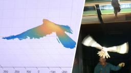 Hochgeschwindigkeitskamera zeichnet Flug des Falken auf