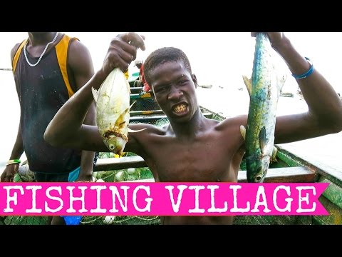 Tanji fishmarket, Banjul and crocodiles - aka The Gambia Part I - 2015 FULL HD