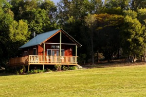 With plenty of space to roam, Mansfield on Manning's guestcan choose between two recently renovated cabins and a vintage ...