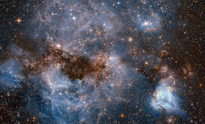 This shot from the NASA/ESA Hubble Space Telescope shows a maelstrom of glowing gas and dark dust within one of the Milky Way’s satellite galaxies, the Large Magellanic Cloud (LMC).