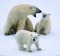  Polar shout. This mother was finding discipline difficult.