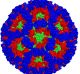 A computer-generated 3D model of norovirus.