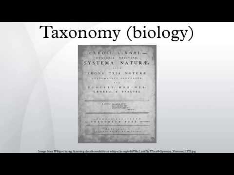 Taxonomy (biology)