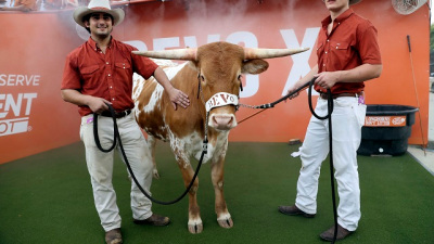 College Football’s 12 Best Live Animal Mascots Spark Wins, Remember Tradition