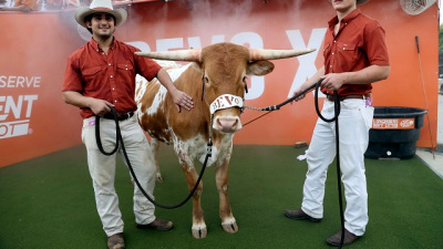 College Footballs 12 Best Live Animal Mascots Spark Wins, Remember Tradition