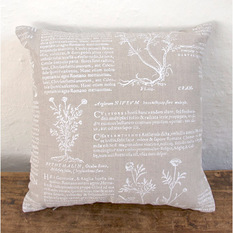 Latin Herbal Cushion - Decorative Cushions