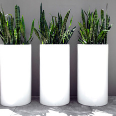 Contemporary Lightweight Tall Cylinder - Outdoor Pots And Planters