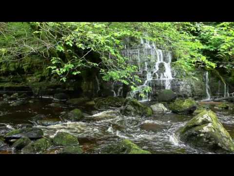 Nature Meditation for Relaxation and Insomnia by Johnnie Lawson-Birds Singing & Sounds of Nature