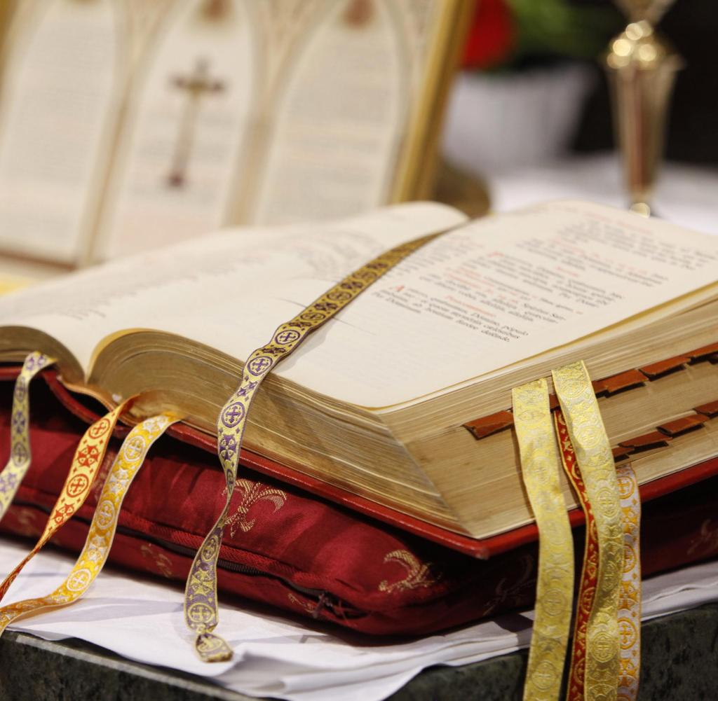 Traditionalist catholic pilgrimage Mass in Chartres cathedral | Verwendung weltweit