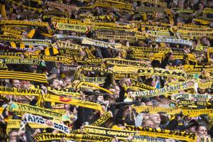 Dynamo Dresden Fans