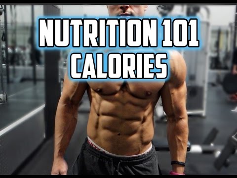 Nutrition 101: Calories, Maintenance, Cutting, Bulking - Matt Versus 3.1