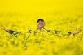 Colin Falls is a farmer from the plains north of Bendigo. He has a cracking crop of canola, which is now in full flower, ...