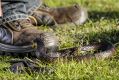 Tiger snakes are said to be in strong supply around Herdsman Lake.