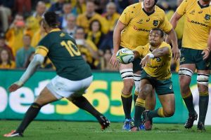 Shining bright: Will Genia starred for the Wallabies against South Africa. 