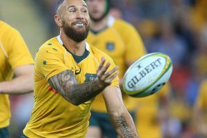 Marquee match: Quade Cooper played just about his best game as a Wallaby number 10 in Brisbane last weekend. 