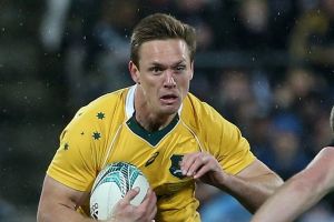 Learning the ropes: Winger Dane Haylett-Pettysays he is  'just happy to play wherever I can'.