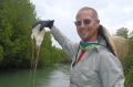 Bryan Fry rates the sting of the box jellyfish as the worst Australian wildlife has to offer. 