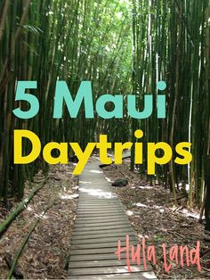 Get out and explore the best of Maui with these daytrips!