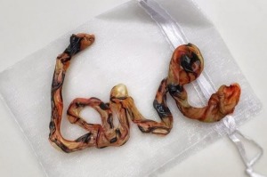 Umbilical cord art, like this piece by Blissful Womb, is now a thing.