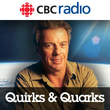 Quirks & Quarks