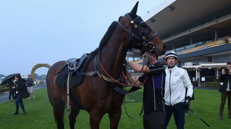 Trainer Chris Waller (right) talks to jockey Hugh Bowman (3rd from right) after riding Winx in her last trackwork ...