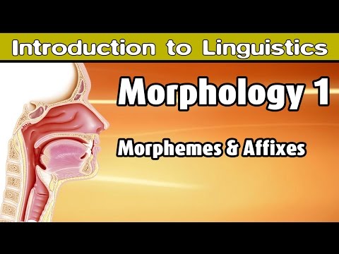 [Introduction to Linguistics] Free and Bound Morphemes, Affixes