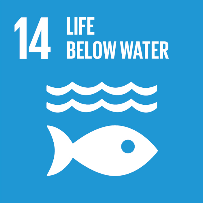 SDG 14