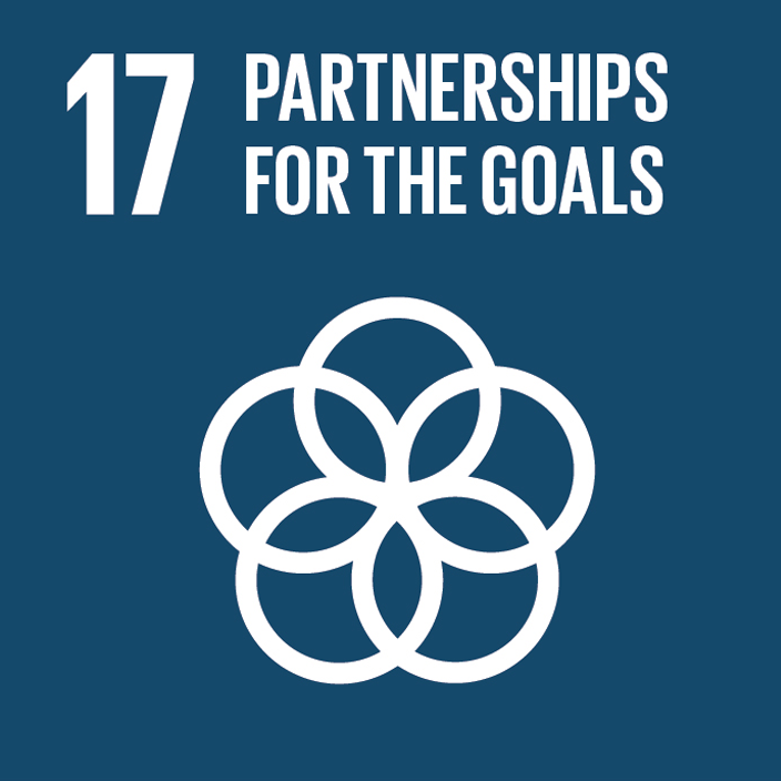 SDG 17