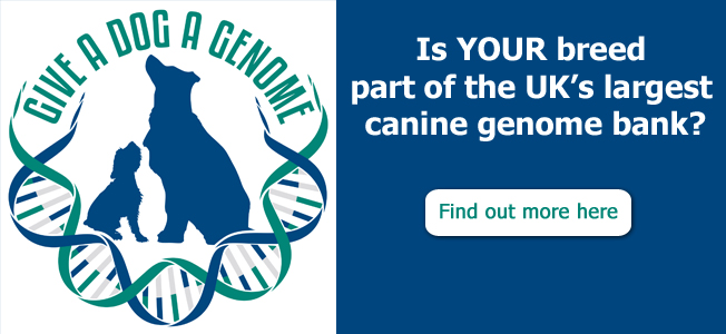 Give a Dog a Genome