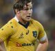 Fire in the belly: Wallabies forward Michael Hooper.