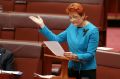 Senator Hanson giving her first speech in Parliament since being elected for a second time.