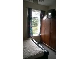 single room for rent