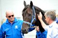 Peter Moody has announced Black Caviar has had another filly.