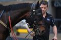 Ready to roll: Winx will take on a stablemate Vanbrugh, Melbourne interloper Great Esteem and Godolphin pair Hauraki and ...