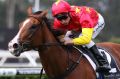 SYDNEY, AUSTRALIA - FEBRUARY 28: Blake Shinn rides First Seal to win race 4, The Surround Stakes, during Sydney Racing ...